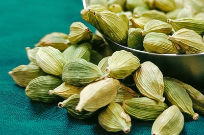 Elettaria cardamomum